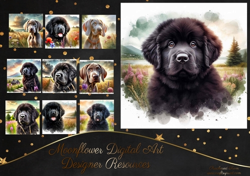 Countryside Pups 17