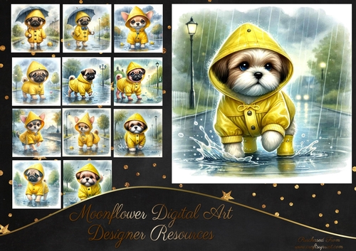 Rain Mac Pups 2