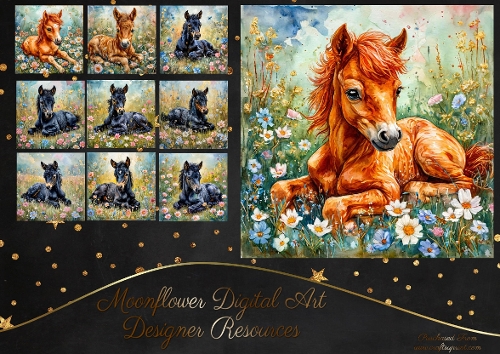 Watercolour Foals