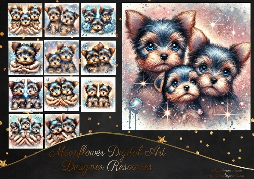 Yorkies