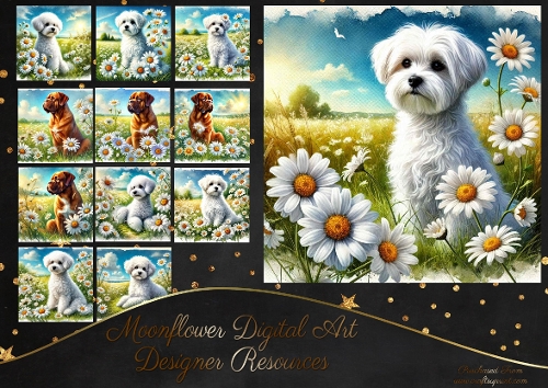 Daisy Dream Dogs1