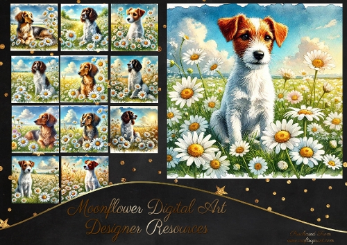 Daisy Dream Dogs 5