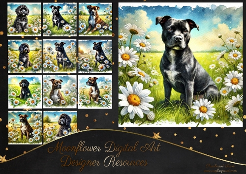 Daisy Dream Dogs 7