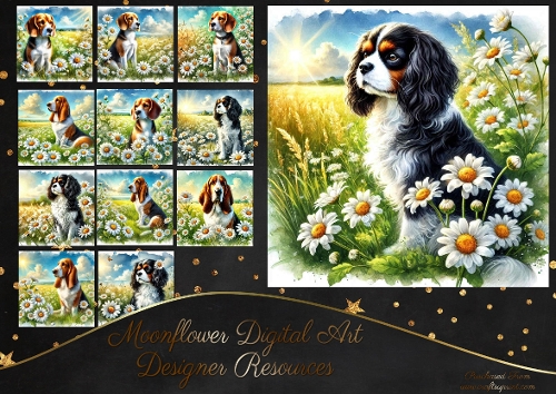 Daisy Dream Dogs 8