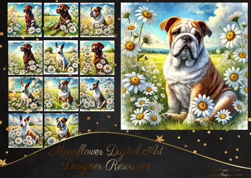 Daisy Dream Dogs 14