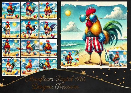 Rooster Beach