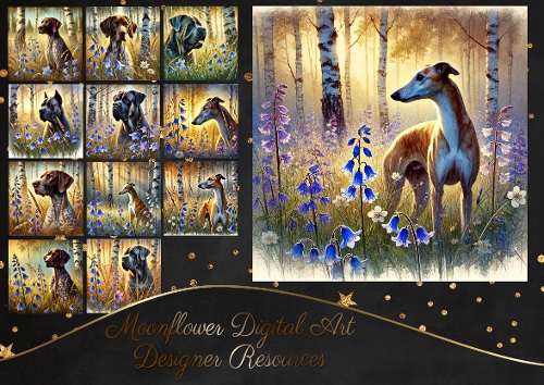 Birchwood Pups 2