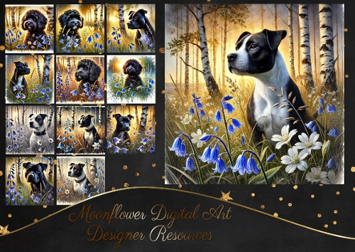 Birchwood Pups 7