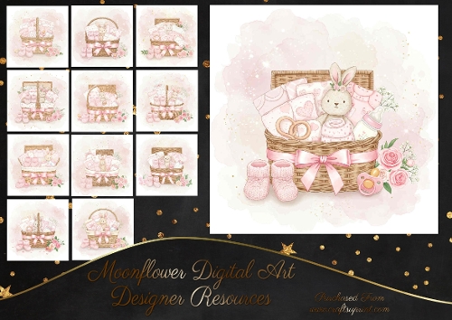 Baby Girl Hampers