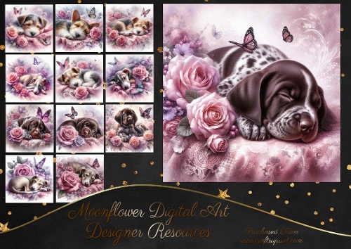 Dreamy Floral Haze Pups 2