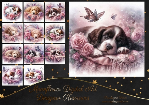 Dreamy Floral Haze Pups 5