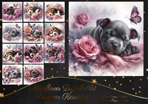Dreamy Floral Haze Pups 7