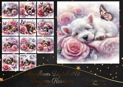 Dreamy Floral Haze Pups 10