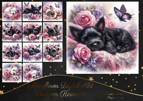 Dreamy Floral Haze Pups 11