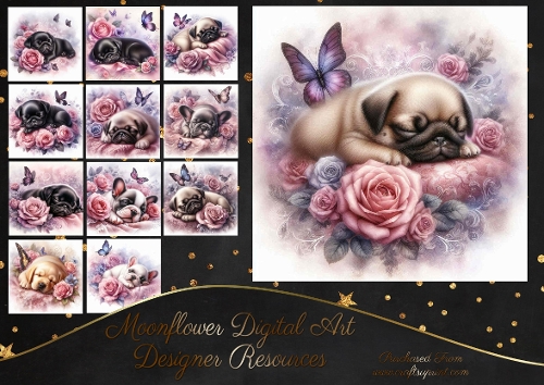 Dreamy Floral Haze Pups 12