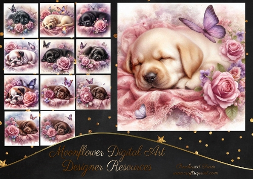 Dreamy Floral Haze Pups 13