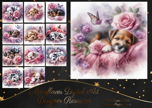 Dreamy Floral Haze Pups 14