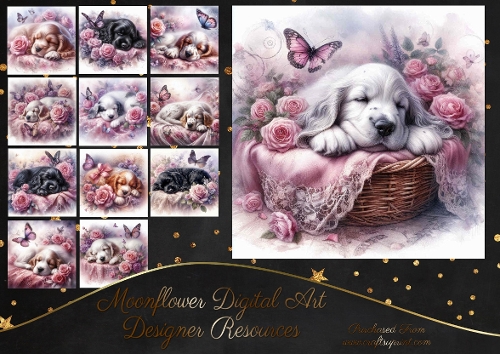 Dreamy Floral Haze Pups 15