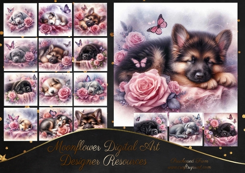 Dreamy Floral Haze Pups 16