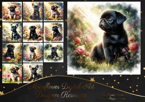 Sunny Morning  Pups 12