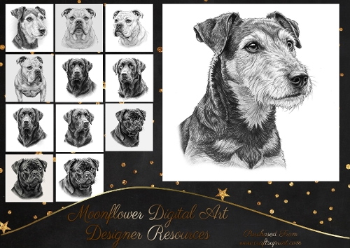 Fine Pencil Dog Prints 12