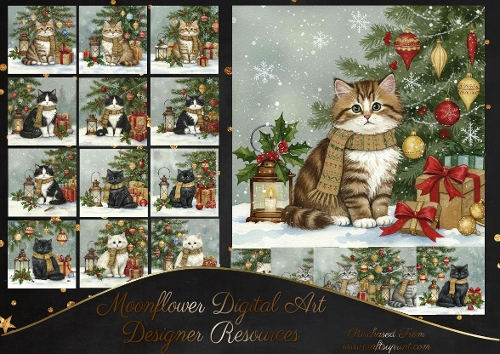 Christmas Cats 