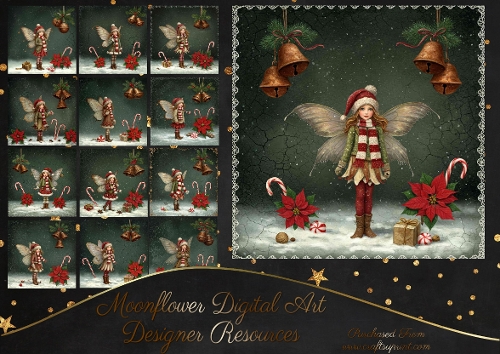 Festive Fairy