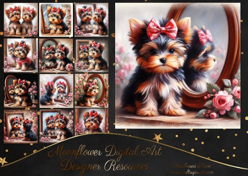 Yorkie Pups 