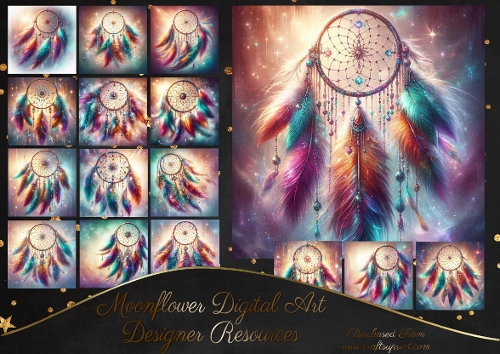 Dream Catchers