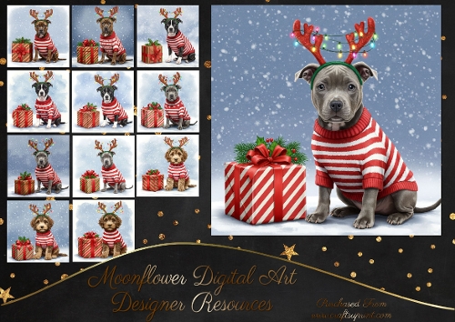 Christmas Gift Pups 6