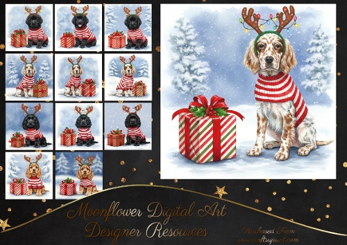 Christmas Gift Pups 14