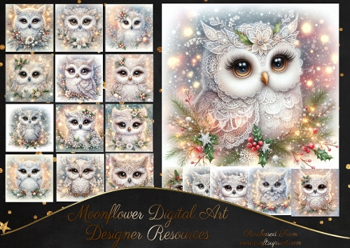 cup1393769_77133 - Beautiful Christmas Lace Owls  CUSTOMER REQUEST KRISTINA