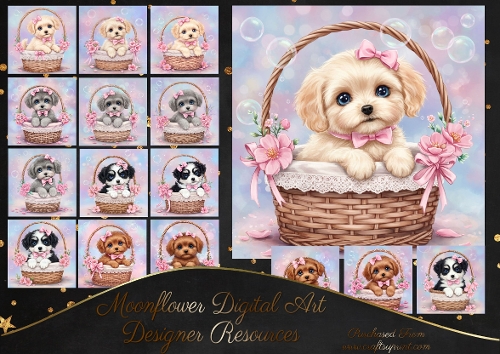 Basket Of Cuteness 1