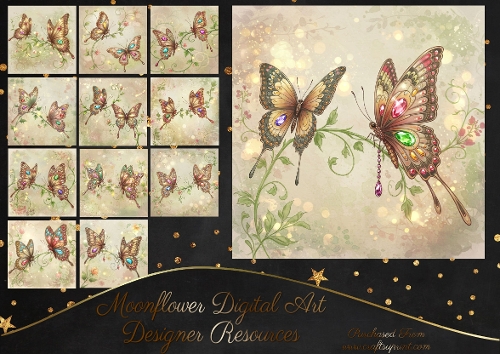 Beautiful Butterflies 