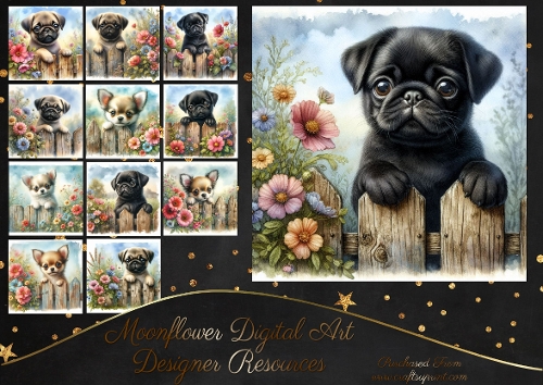 Garden Fence Pups 13