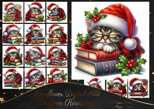 Christmas Book Kitten 2
