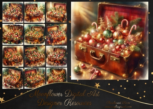Case full Of Christmas 