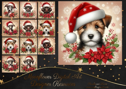 Poinsettia Pups 2