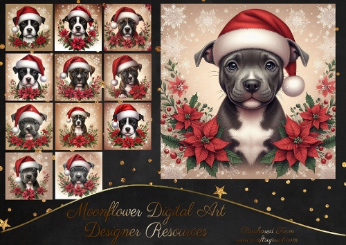Poinsettia Pups 7