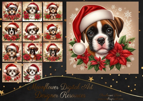Poinsettia Pups 10