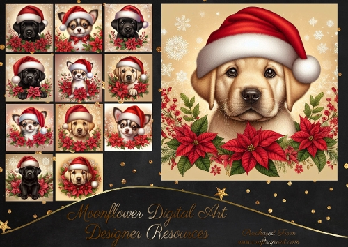Poinsettia Pups 13