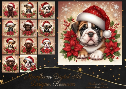 Poinsettia Pups 14