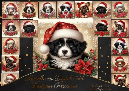Poinsettia Pups 16