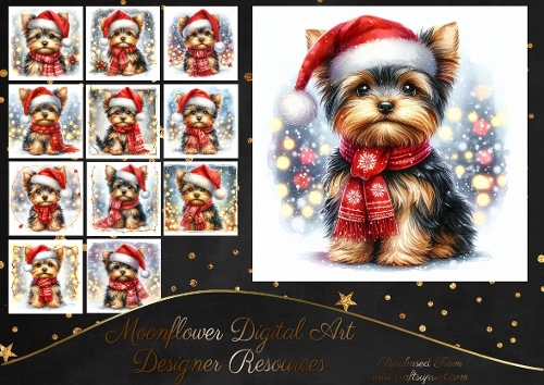 Christmas Yorkie Pups 