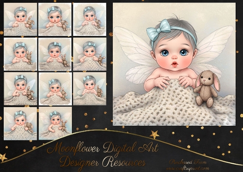 Fairy  Baby Blanket 