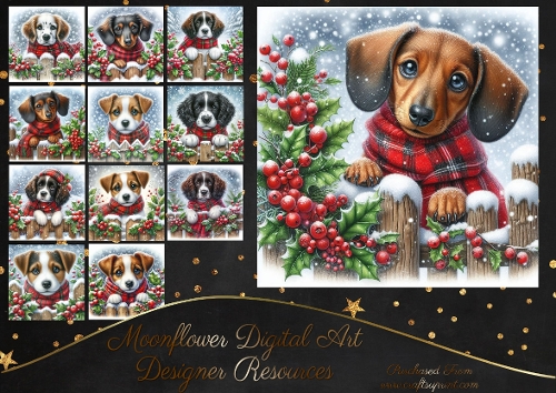 Christmas Holly Fence Pups 5