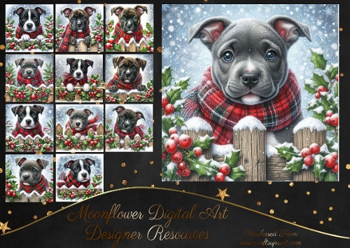 Christmas Holly Fence Pups 7