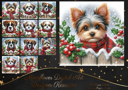 Christmas Holly Fence Pups 10