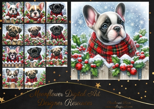 Christmas Holly Fence Pups 12