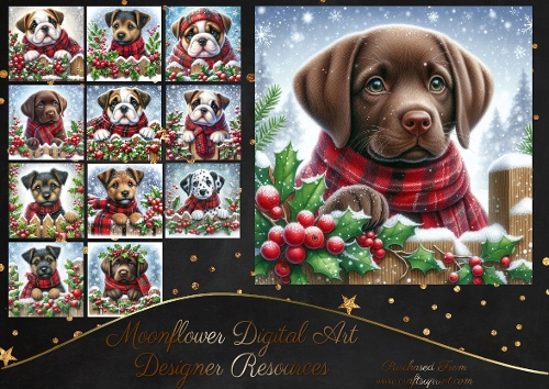 Christmas Holly Fence Pups 14